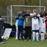 2024-03-16-hahn-zve06430-vor.jpg