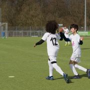 2024-03-16-hahn-zve06572-ende.jpg